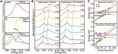 Chemical Tuning on Resonance Coupling in Gold Nanorod−Monolayer WS2 Heterostructures